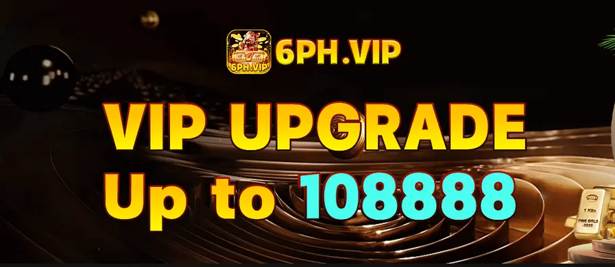 6262bet